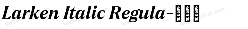 Larken Italic Regula字体转换